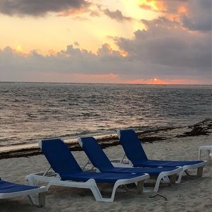 Meet your Posher, Ellen